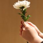 Zakład Pogrzebowy w Krakowie: Kompleksowa Opieka i Wsparcie